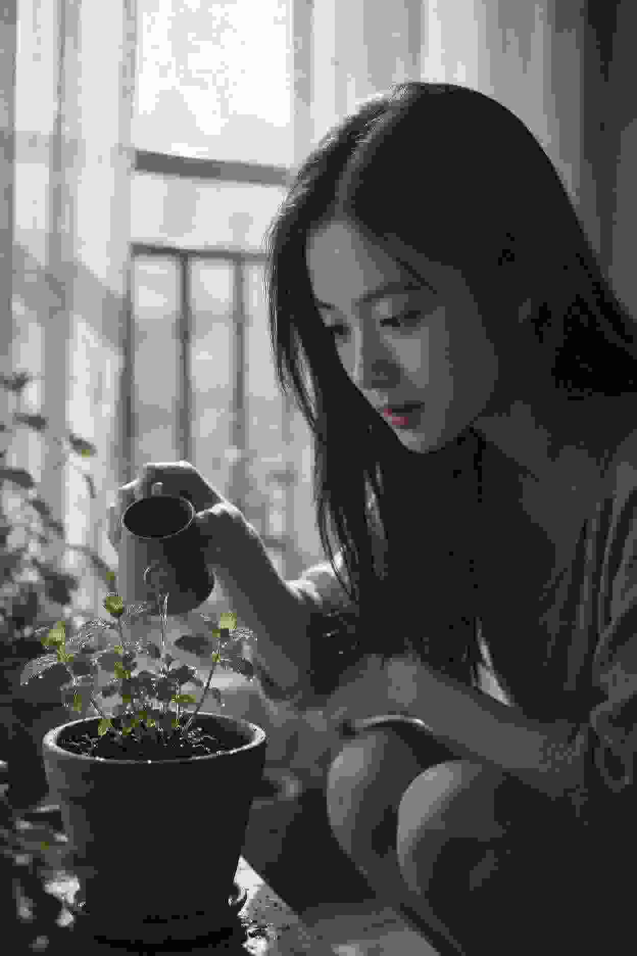 我的秘密花园